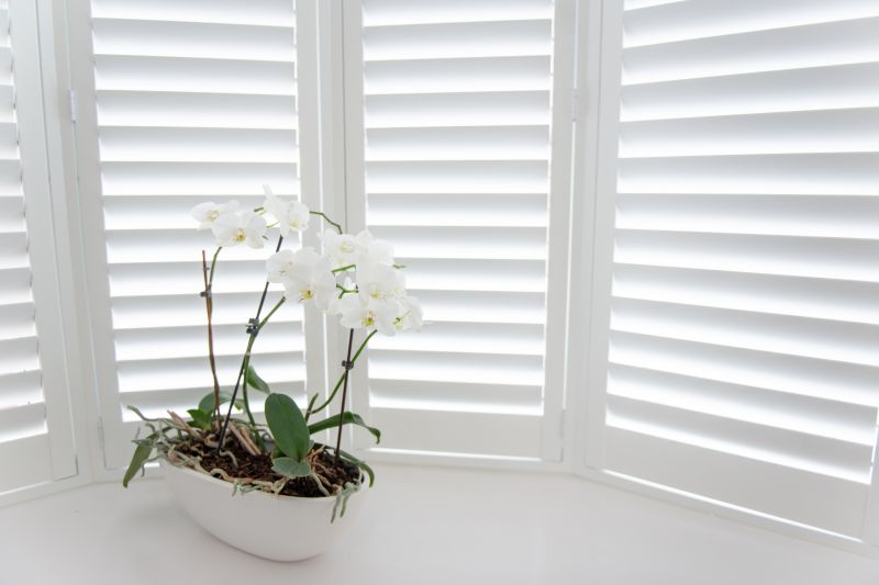 Louvered Shutters Installation in Denver, CO