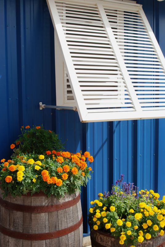 Shutters Replacement in Littleton, CO